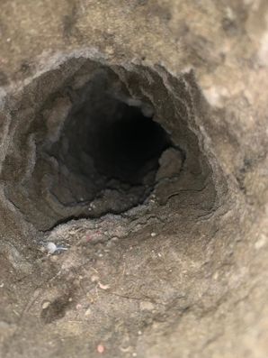 Before & After Dryer Vent Cleaning in Dania Beach, FL (1)